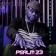 Psalm 23 Ray Martinez Mix Single