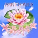 Rain Flower Single