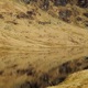 Loch Hill EP