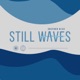 Still Waves Single