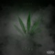 Fire Single