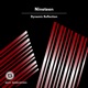 Dynamic Reflection Single