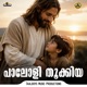 Paloli Thookiya feat Beenachan Lopez Kester Single