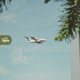Flight Path Single