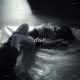 dive Single