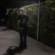 bis ich on top bin feat n1ya Single