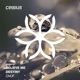 Believe Me Destiny Single