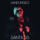 Sandungeo Single