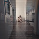 Crying on the Kitchen Floor Single