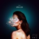 Specchi Single