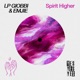 Spirit Higher Single