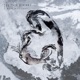 The Path Divides Single