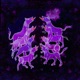 Wolves Disco and Boogaloo Remixes Single