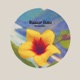 Summer Haze Single