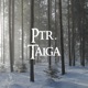Taiga Single
