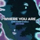 Where You Are GRiZ Remix Single