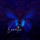 Erratic Single