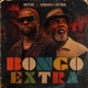 Bongo Extra feat Chimuanya Holyman Single