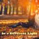 In a Different Light Single