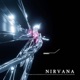 Nirvana Single