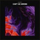 Can t Go Wrong Single