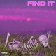 Find It Single