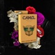 Camel feat AsTovar Oumy Al Mic Single