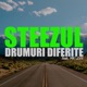 Drumuri diferite feat Mr Levy Single