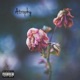 Atrophy Single