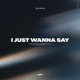 I Just Wanna Say Single