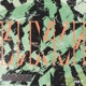 Bleach Single