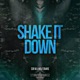 Shake It Down feat Wolfsnare Single