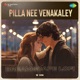 Pilla Nee Venakaley Dreamscape Lofi Single