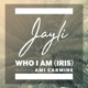 Who I Am Iris feat Ami Carmine Single