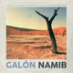 Namib Single