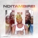 Nditambirei Single