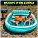 Dancing in the Summer Single