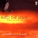 Into the Light Mandolin Meets Contemporary Sounds