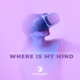 Where Is My Mind feat DJ Squared Single
