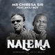 Nalema feat Akili boy Single