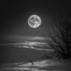 Full Moon