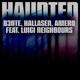 Haunted feat Luigi Neighbours Single
