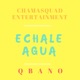 Échale Agua Single