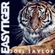 Easy Tiger Single