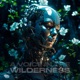 A Voice in the Wilderness Single