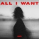 All I Want Single