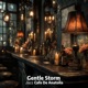 Gentle Storm Single