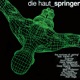 Springer The Remixes of Spring