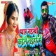 Pyar Naikhe Kaile Naihare Me Single