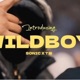Wildboy feat Troublemaker Single
